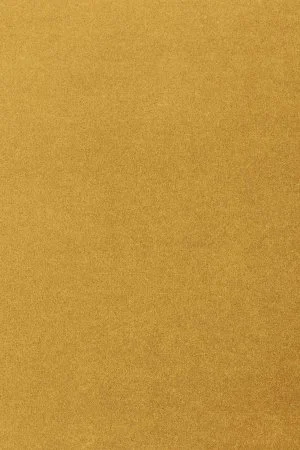 Ковровое покрытие AW Oinone 54 - (5м) в Волгограде