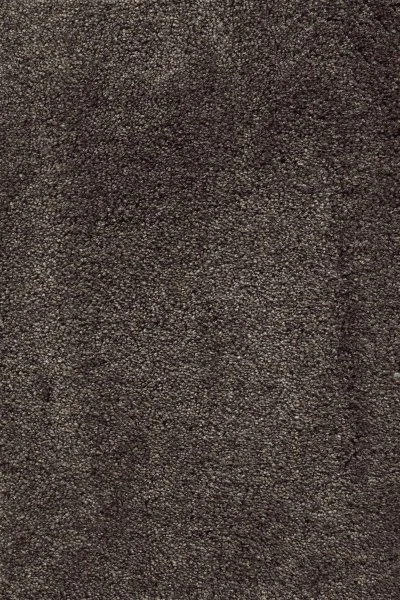 Ковровое покрытие AW Fedone 44 - (5м) в Волгограде