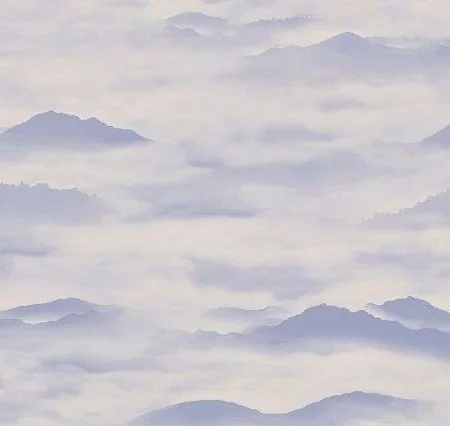 Обои Loymina Clair CLR4, 006 в Волгограде