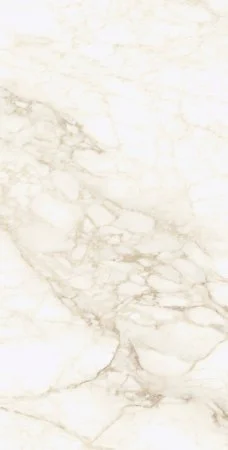 Керамогранит Coliseum Микеланджело Ворм 60х120 (Натуральный и Реттифицированный) в Волгограде