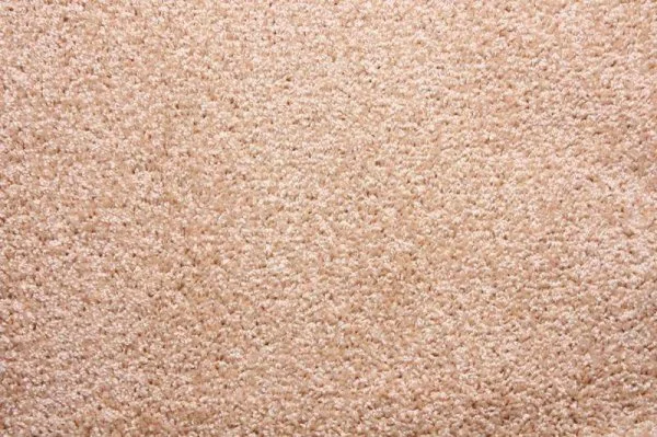 Ковровое покрытие Zartex Фортуна 004 кремовый - 3 м в Волгограде