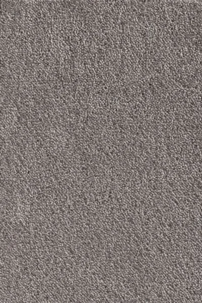 Ковровое покрытие AW Messalina 49 - (5м) в Волгограде