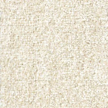 Ковровое покрытие Zartex Парадиз 565 Пломбир - 3 м в Волгограде