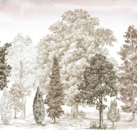 Обои Loymina Пейзаж vol. 2 ART14 012 в Волгограде