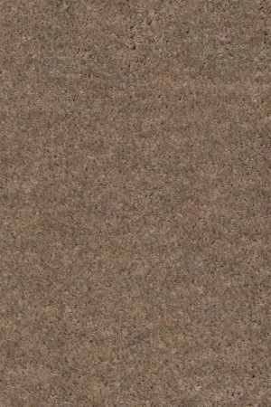 Ковровое покрытие AW Euphoria 36 - (4м) в Волгограде