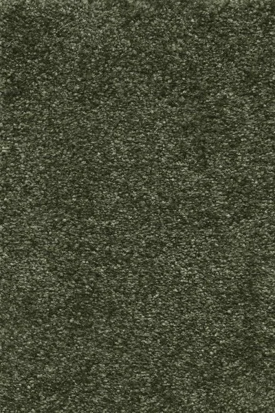 Ковровое покрытие AW Certosa 24 - (4м) в Волгограде