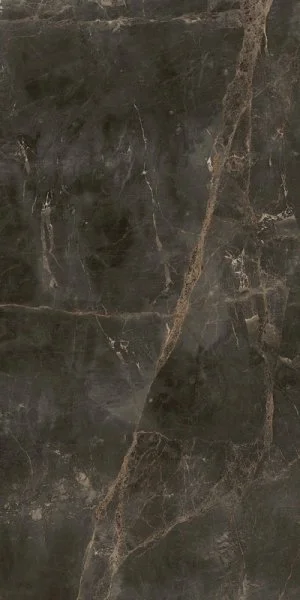 Керамогранит Coliseum Канова Дарк 60х120 (Натуральный и Реттифицированный) в Волгограде