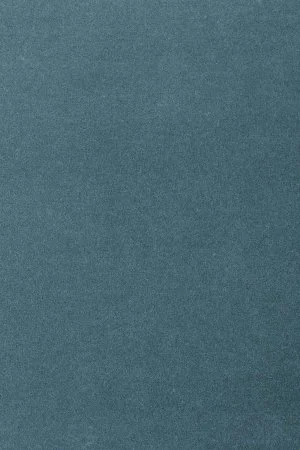 Ковровое покрытие AW Oinone 74 - (4м) в Волгограде