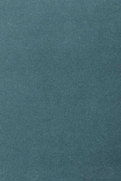 Ковровое покрытие AW Oinone 74 - (5м) в Волгограде