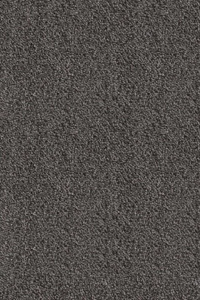 Ковровое покрытие AW Messalina 99 - (5м) в Волгограде