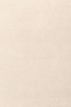 Ковровое покрытие AW Oinone 03 - (5м) в Волгограде