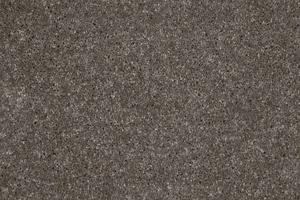 Ковровое покрытие AW Gala 49 - (4м) в Волгограде