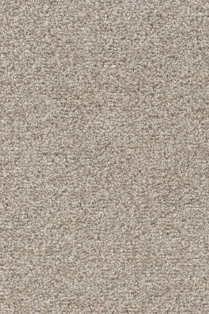 Ковровое покрытие AW Stainguard Harvest 04 - (4м) в Волгограде