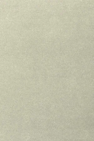 Ковровое покрытие AW Oinone 02 - (4м) в Волгограде