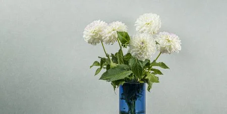 Обои Loymina Shade vol.2 SDR5, 001 в Волгограде