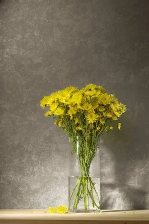 Обои Loymina Golden Library TDG 7, 008 в Волгограде