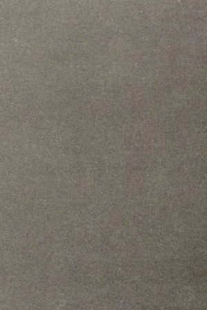 Ковровое покрытие AW Oinone 95 - (5м) в Волгограде