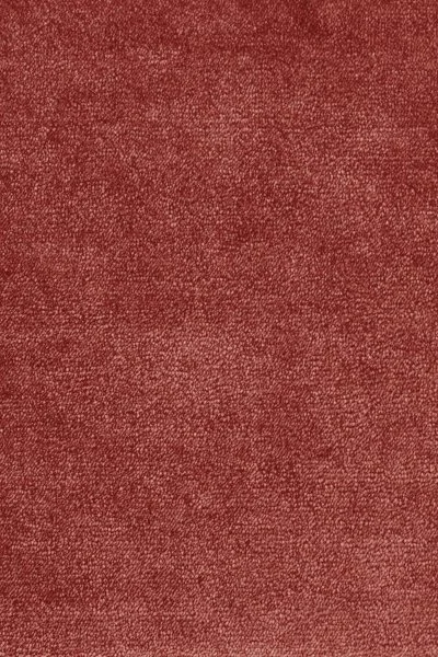 Ковровое покрытие AW Omphale 10 - (5м) в Волгограде