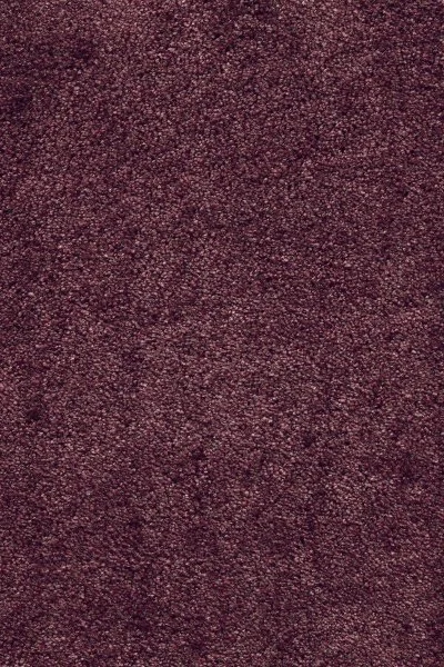 Ковровое покрытие AW Fedone 19 - (5м) в Волгограде