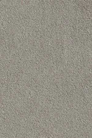 Ковровое покрытие AW Messalina 9 - (5м) в Волгограде