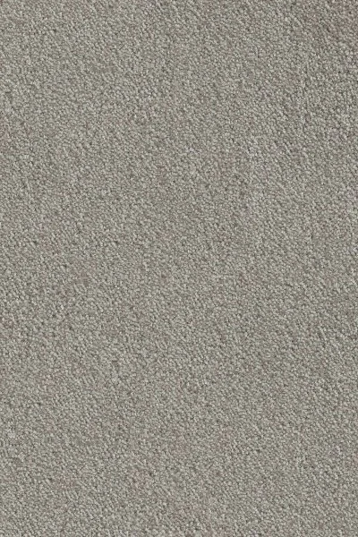 Ковровое покрытие AW Messalina 9 - (4м) в Волгограде