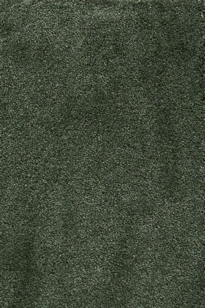 Ковровое покрытие AW Fedone 24 - (5м) в Волгограде