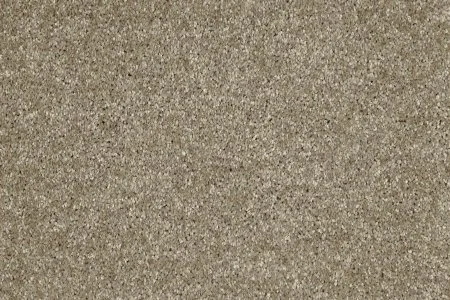 Ковровое покрытие AW Gala 33 - (5м) в Волгограде