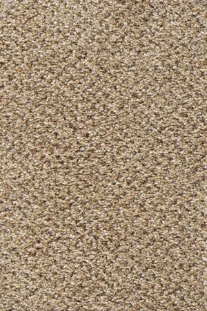 Ковровое покрытие AW Stainaway Tweed 50 - (4м) в Волгограде