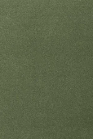 Ковровое покрытие AW Oinone 24 - (5м) в Волгограде