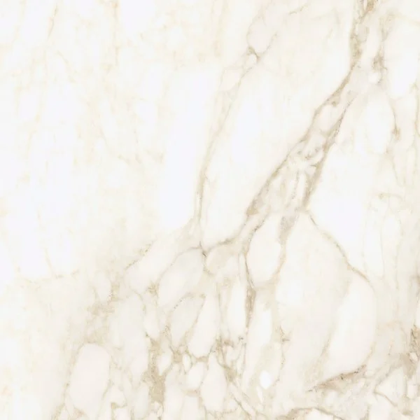 Керамогранит Coliseum Микеланджело Ворм 60х60 (Натуральный и Реттифицированный) в Волгограде