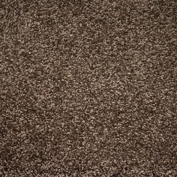 Ковровое покрытие Zartex Tesoro 156 Коричневый - 4 м в Волгограде