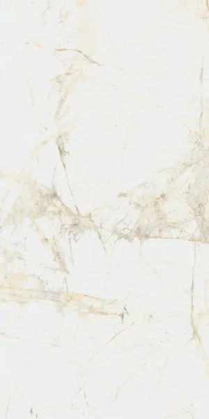 Керамогранит Coliseum Канова Уайт 60х120 (Натуральный и Реттифицированный) в Волгограде