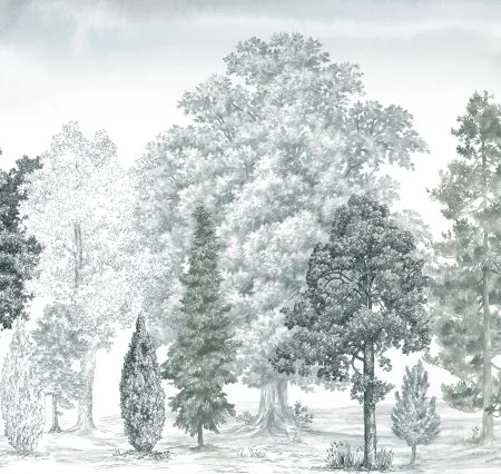 Обои Loymina Пейзаж vol. 2 ART14 011 в Волгограде