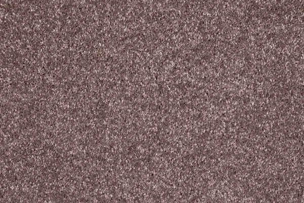 Ковровое покрытие AW Gala 60 - (5м) в Волгограде